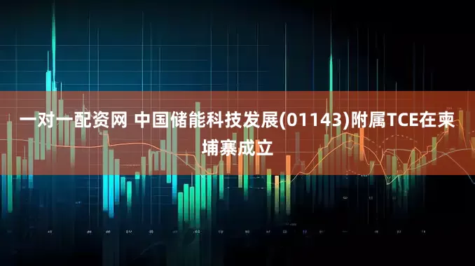 一对一配资网 中国储能科技发展(01143)附属TCE在柬埔寨成立