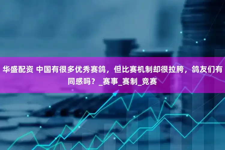 华盛配资 中国有很多优秀赛鸽，但比赛机制却很拉胯，鸽友们有同感吗？_赛事_赛制_竞赛