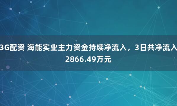 3G配资 海能实业主力资金持续净流入，3日共净流入2866.49万元