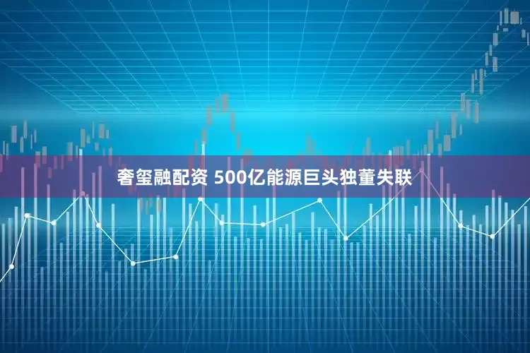 奢玺融配资 500亿能源巨头独董失联