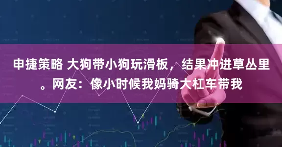 申捷策略 大狗带小狗玩滑板，结果冲进草丛里。网友：像小时候我妈骑大杠车带我
